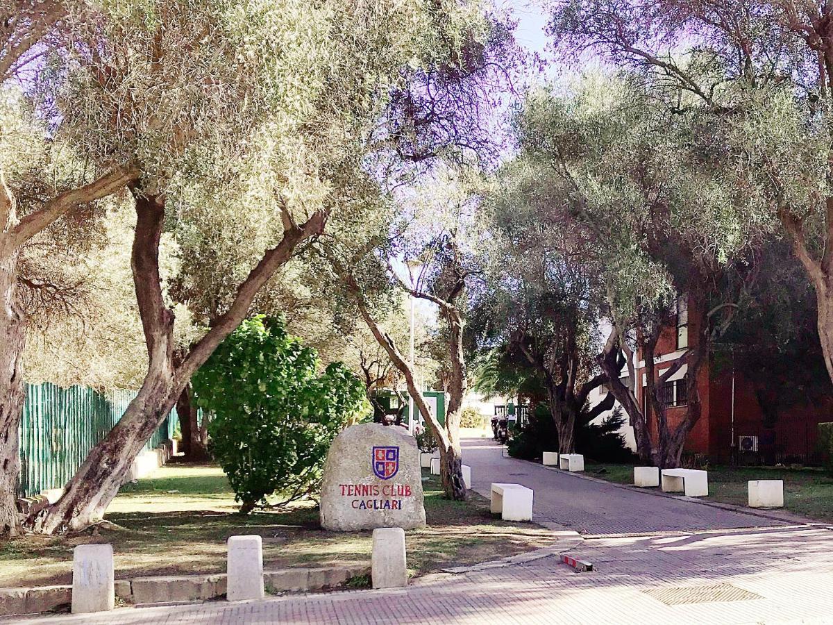 Euphorbia House, Confort E Intimità In Centro. Appartamento Cagliari